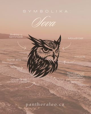 🦉✨ Sova je nádherným symbolem moudrosti, intuice a tiché síly – tvorem, který vidí to, co ostatní přehlížejí. Připomíná...